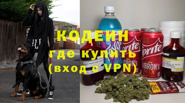 дурь Алексин