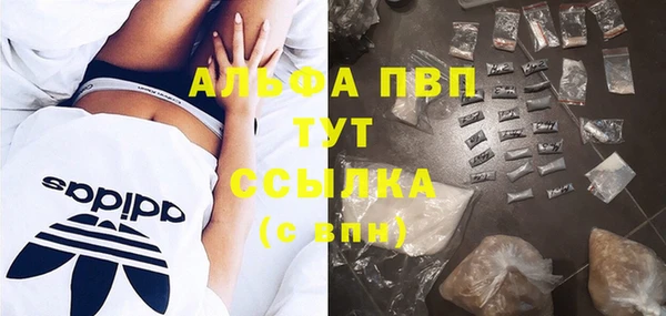 дурь Алексин