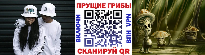 сколько стоит  Саянск  Галлюциногенные грибы GOLDEN TEACHER 