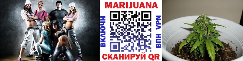 Конопля планчик Саянск